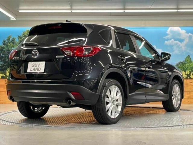 CX-5-17