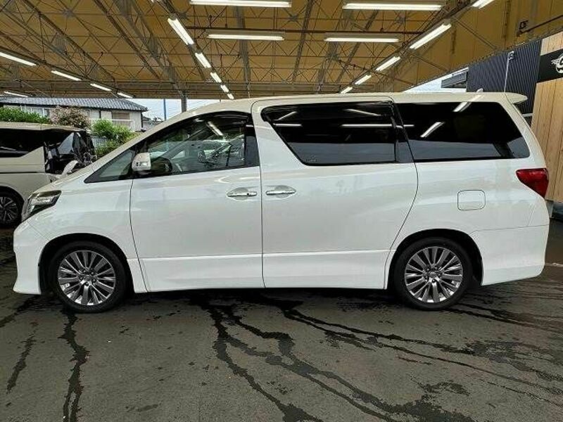 ALPHARD-13