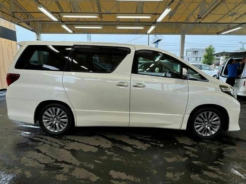 ALPHARD-14