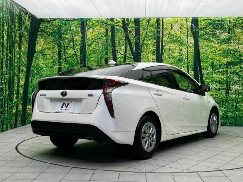 PRIUS-17