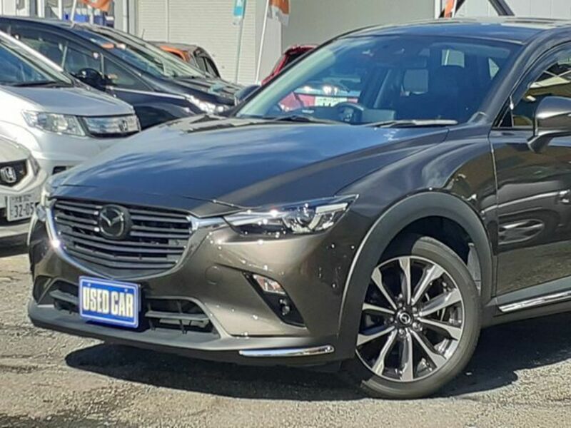 CX-3-6