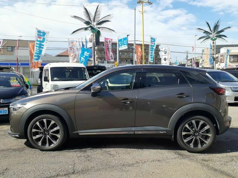 CX-3-8