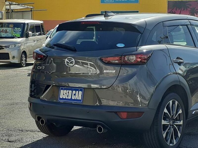 CX-3-10