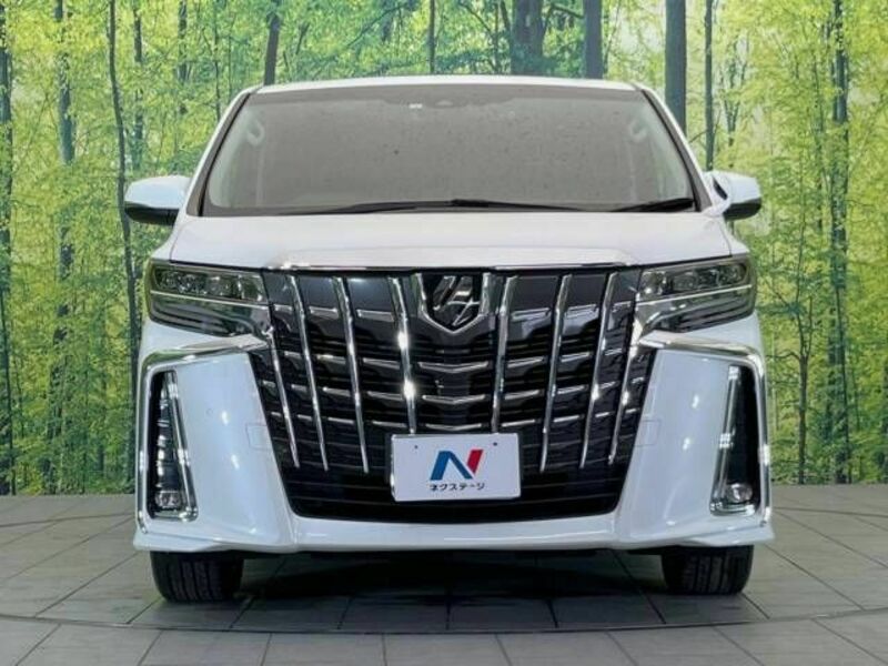 ALPHARD-15