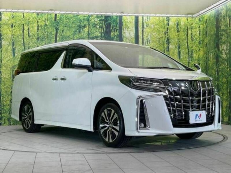 ALPHARD-17