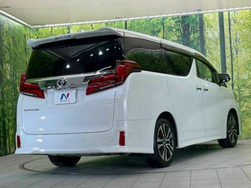 ALPHARD-18