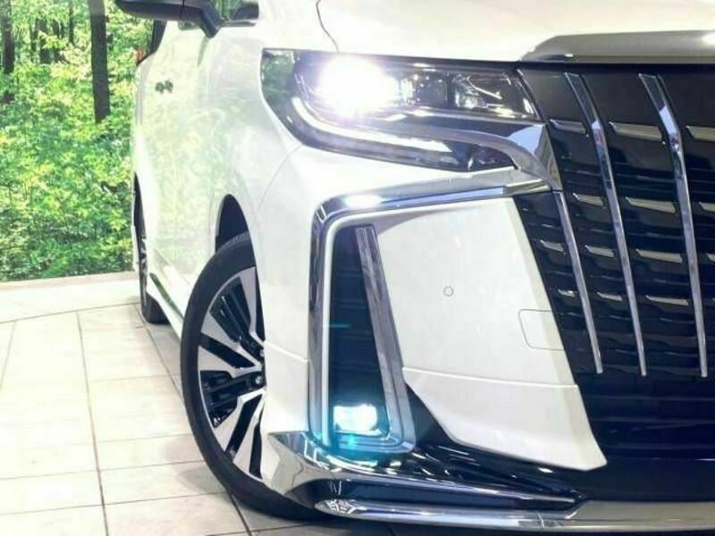 ALPHARD-12