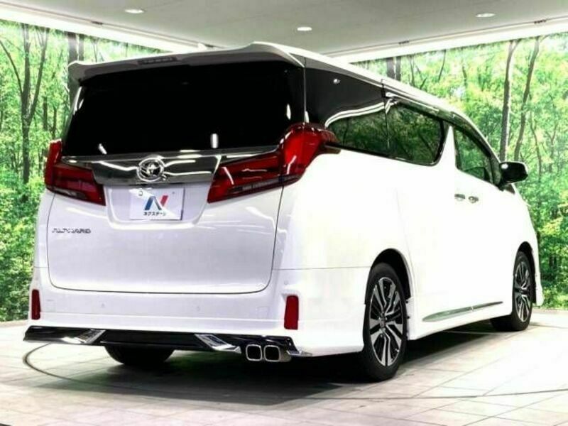 ALPHARD-18