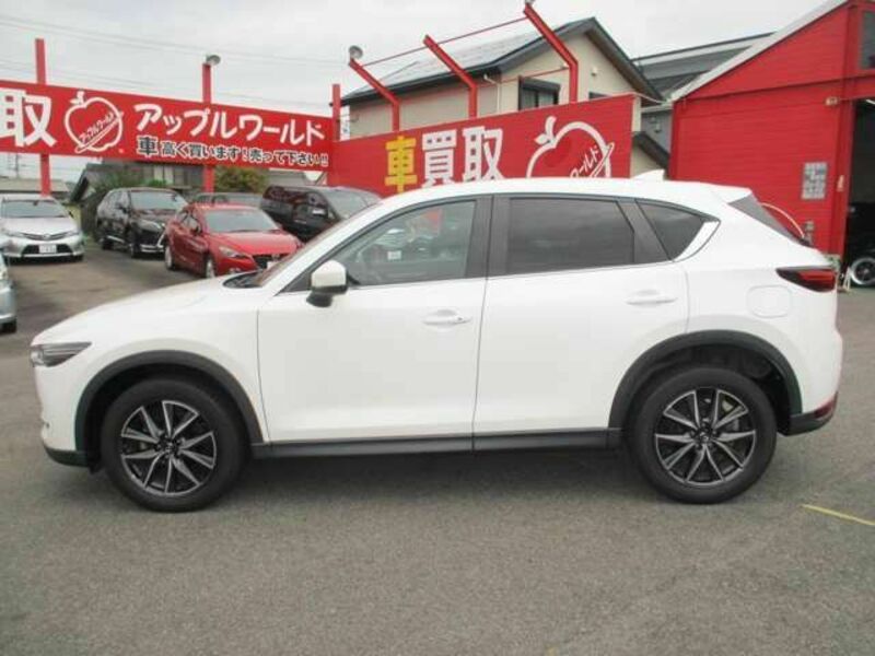 CX-5-4