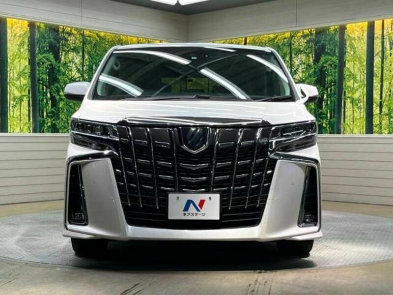 ALPHARD-15