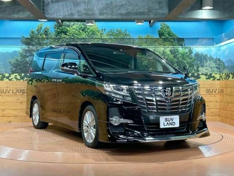 ALPHARD-16