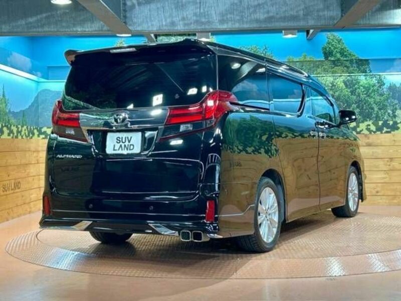 ALPHARD-17