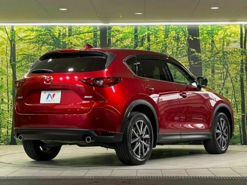 CX-5-17