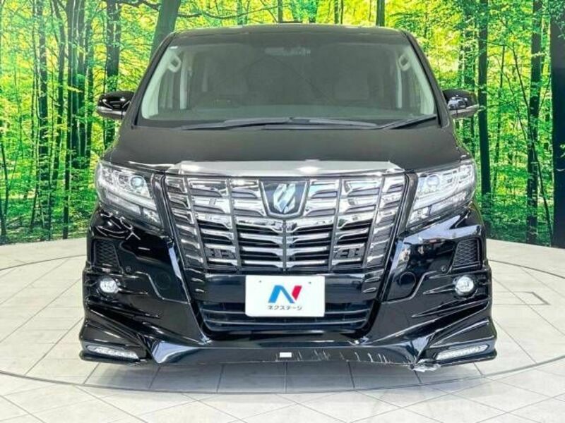 ALPHARD-15