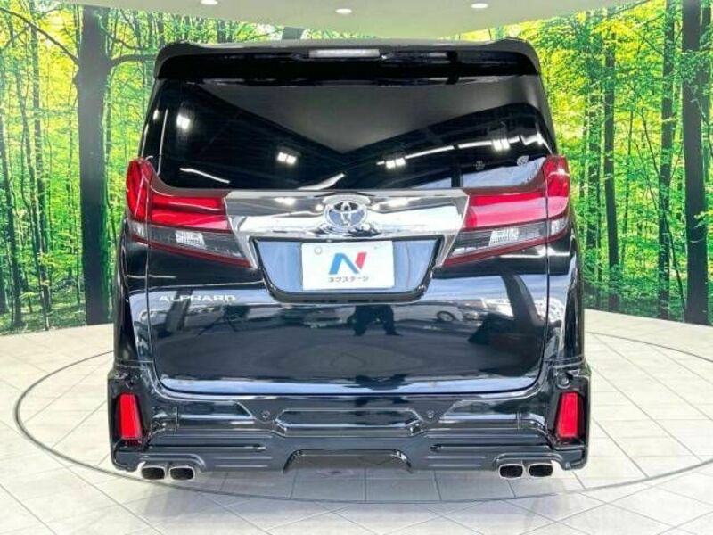 ALPHARD-16