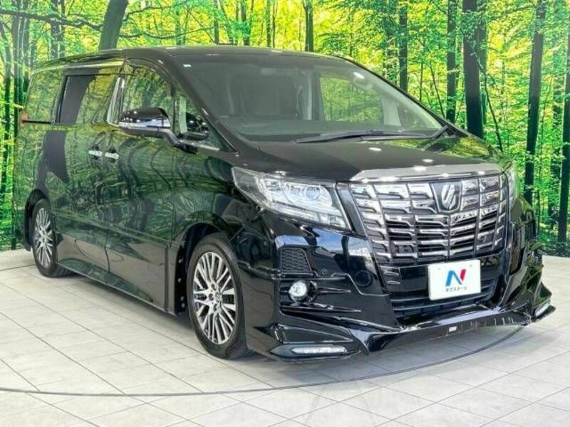 ALPHARD-17