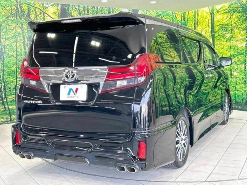 ALPHARD-18