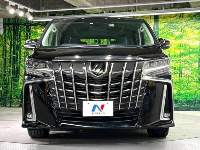 ALPHARD-15