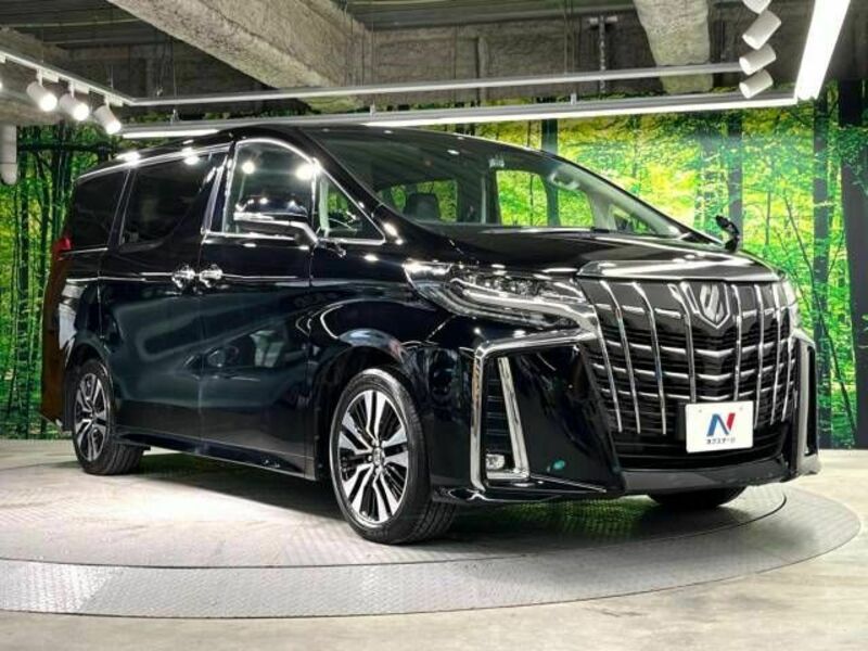 ALPHARD-17