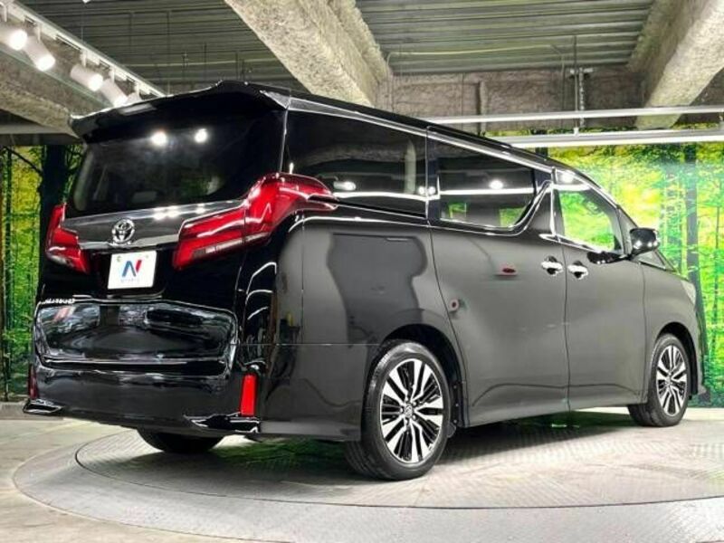 ALPHARD-18