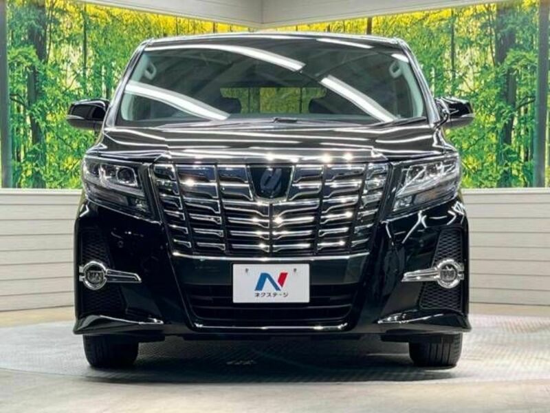 ALPHARD-15