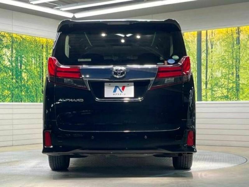 ALPHARD-16