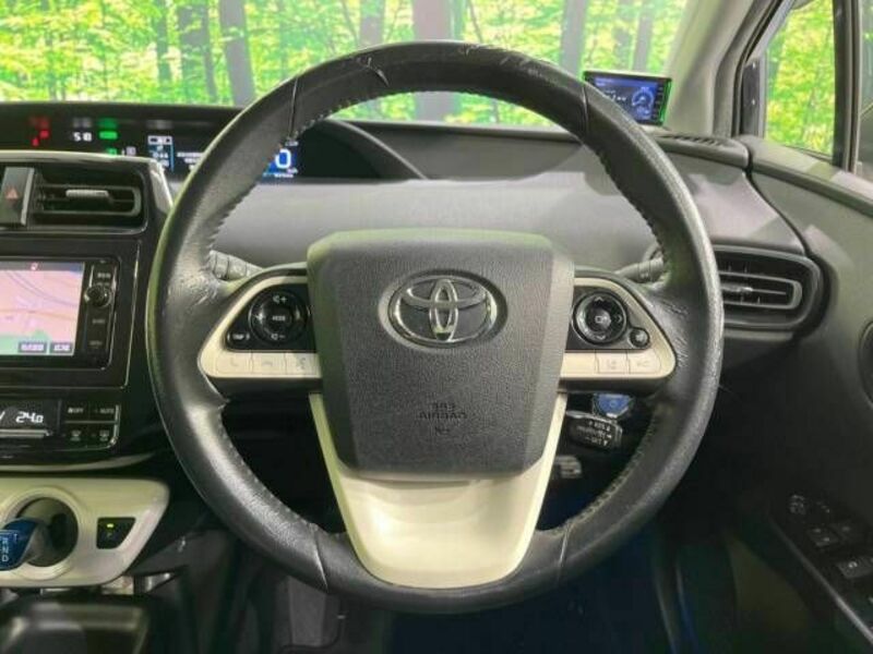 PRIUS-10