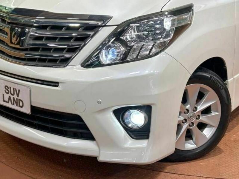 ALPHARD-12