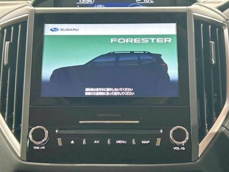 FORESTER-2