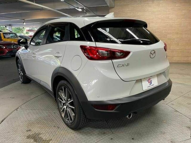 CX-3-17