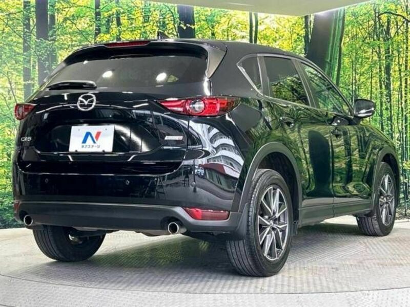 CX-5-17