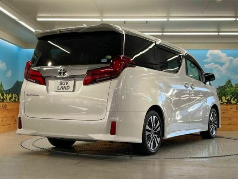 ALPHARD-17