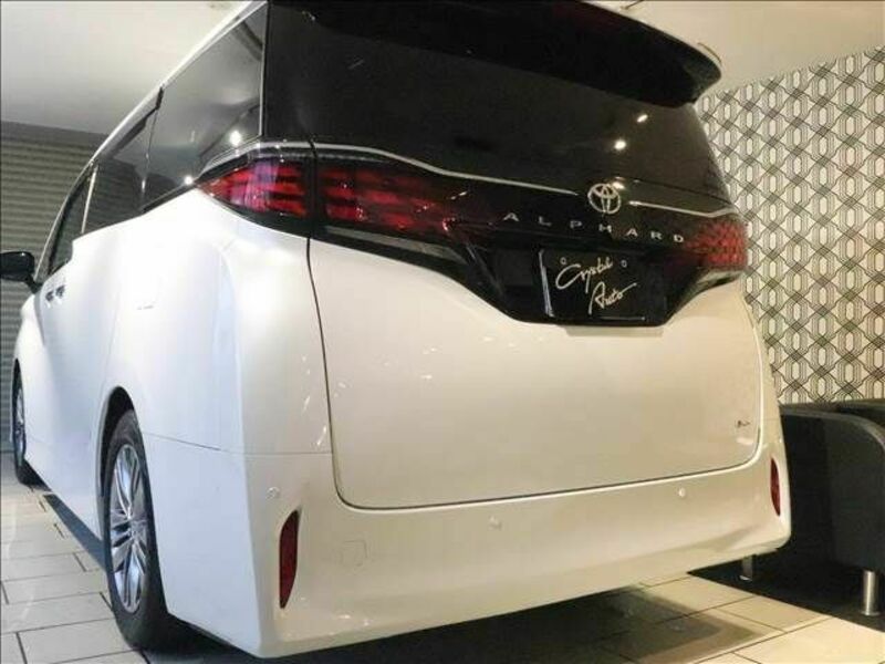 ALPHARD-19