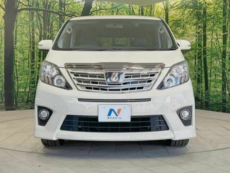 ALPHARD-15