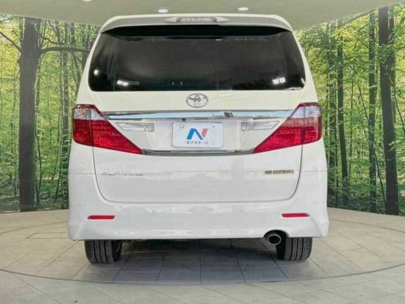 ALPHARD-16