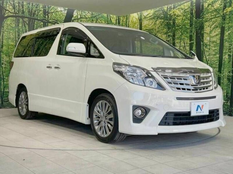 ALPHARD-17