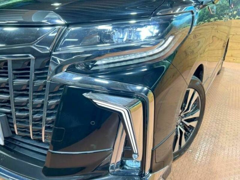 ALPHARD-14