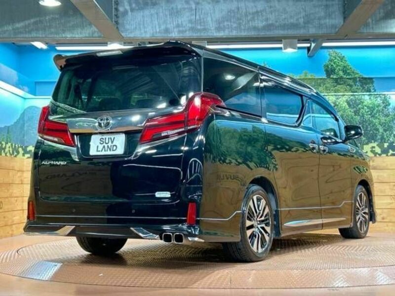 ALPHARD-19