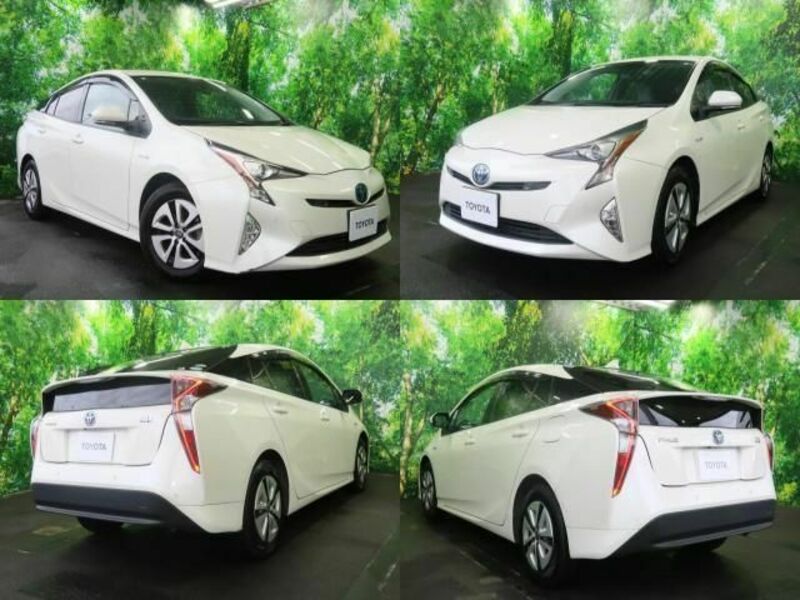 PRIUS-1