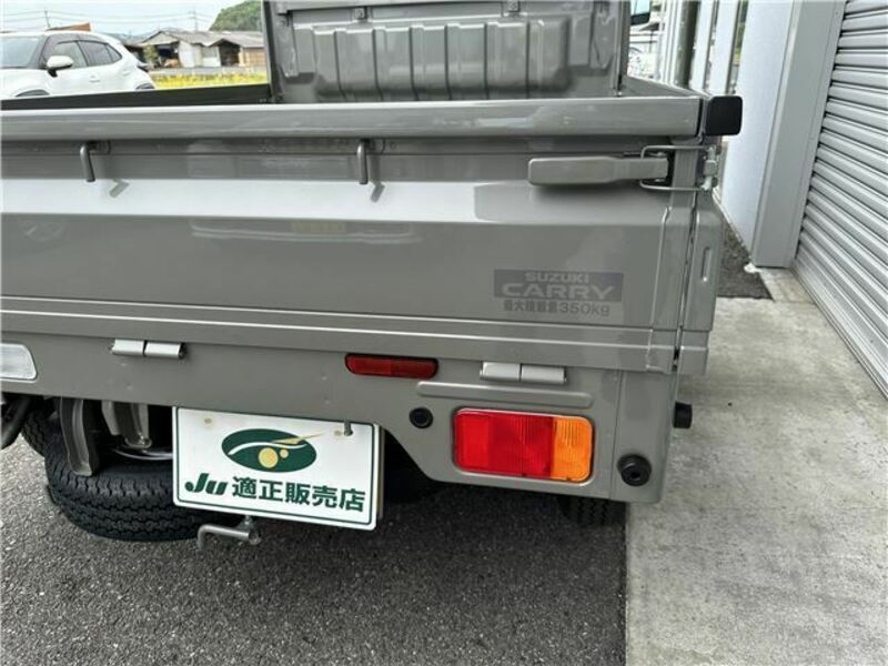 CARRY TRUCK-8