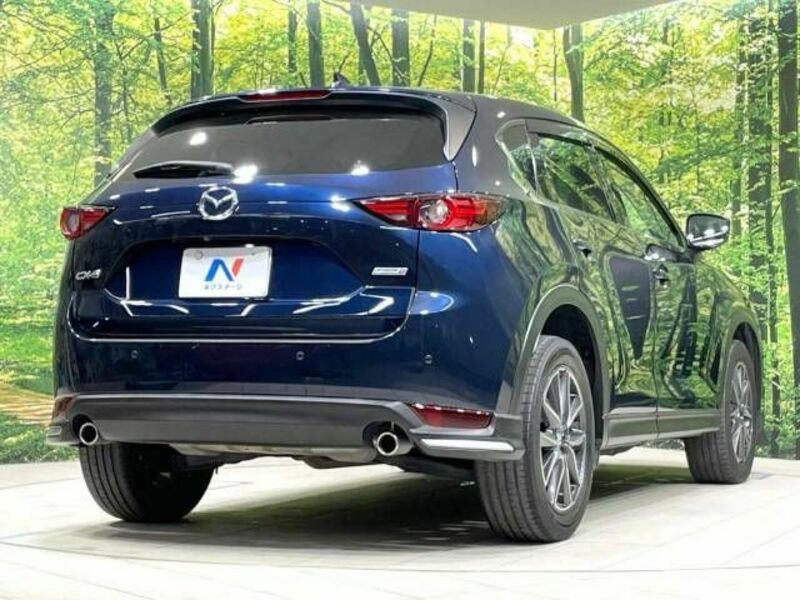 CX-5-16