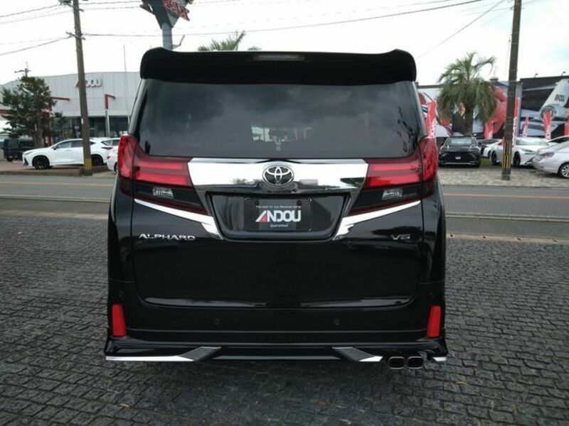 ALPHARD-6