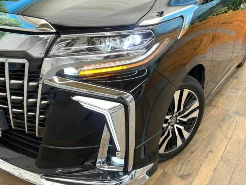 ALPHARD-13