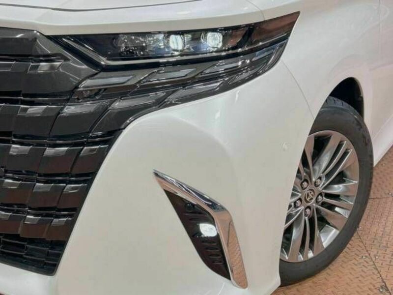 ALPHARD-12