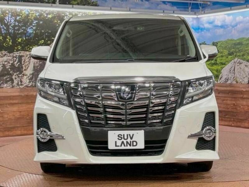 ALPHARD-15