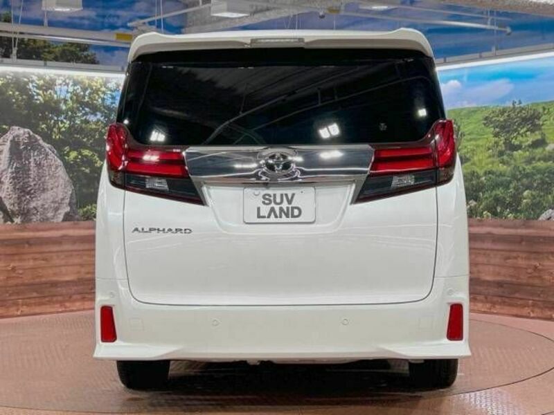 ALPHARD-16