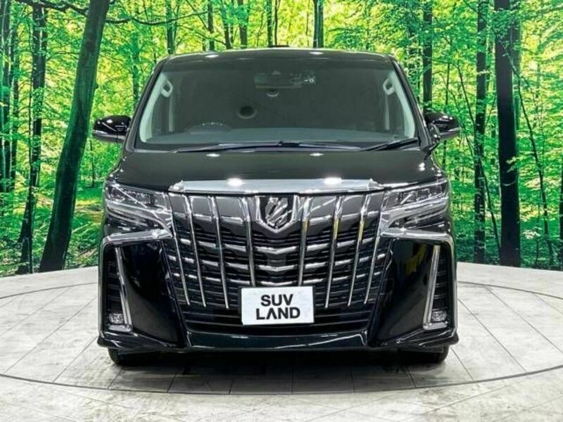 ALPHARD-15