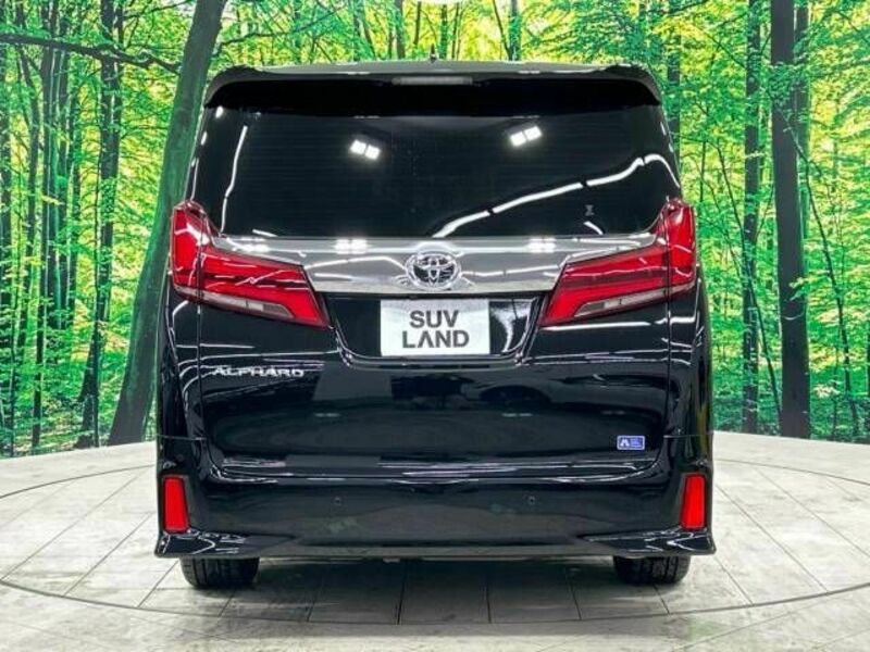 ALPHARD-16