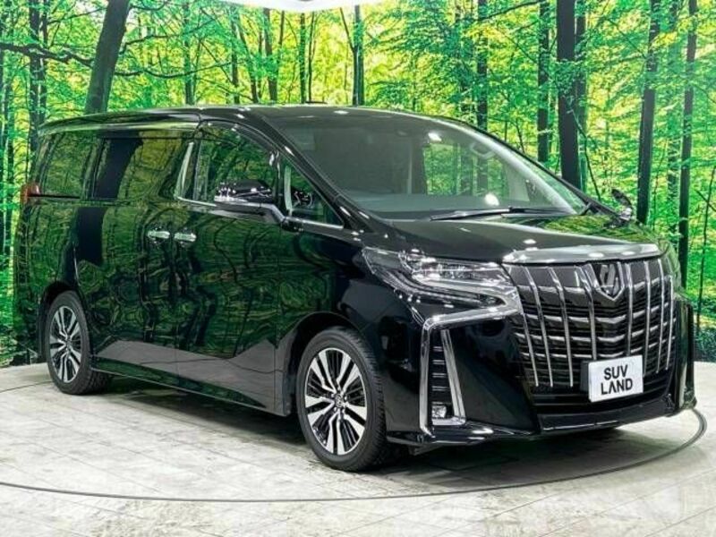 ALPHARD-17