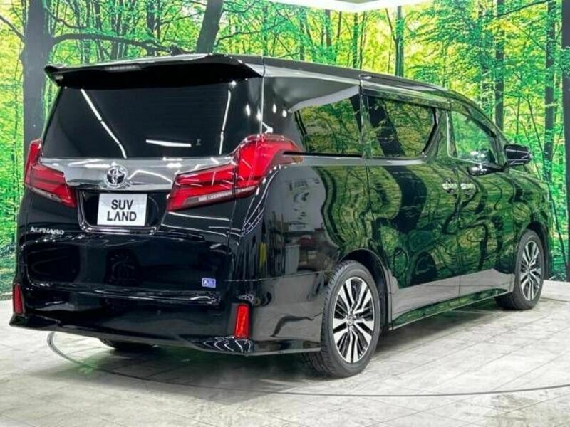 ALPHARD-18